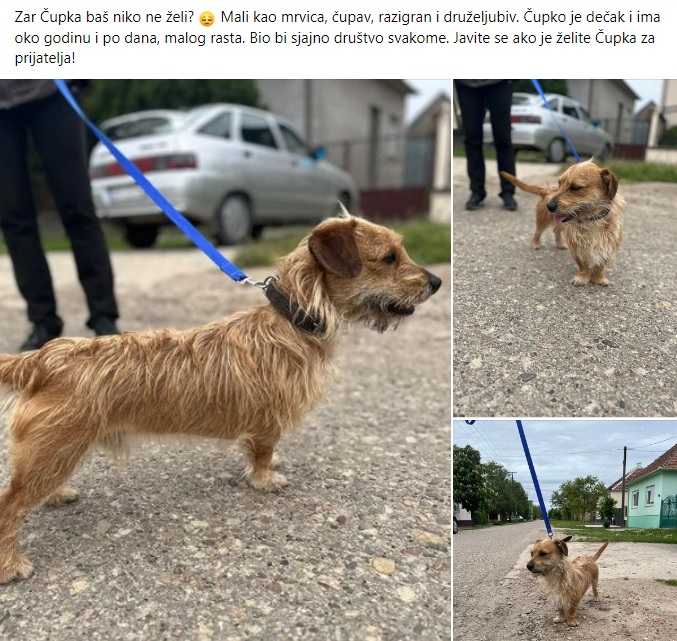 Čupko
