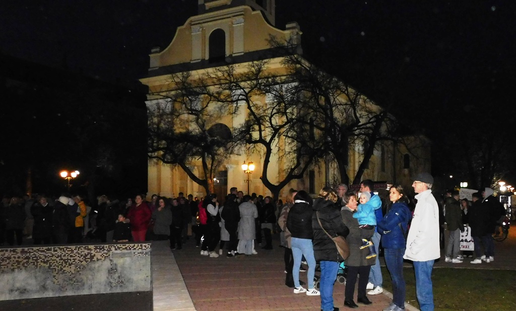 DSCN0354 Protestna Setnja 31.januar
