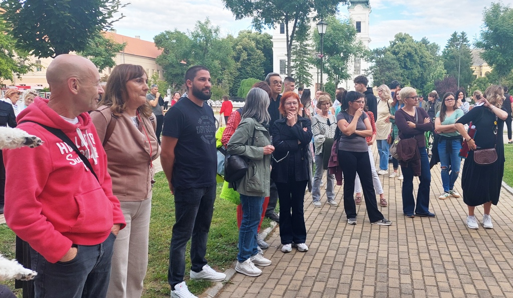 Protest 28 Becej 1