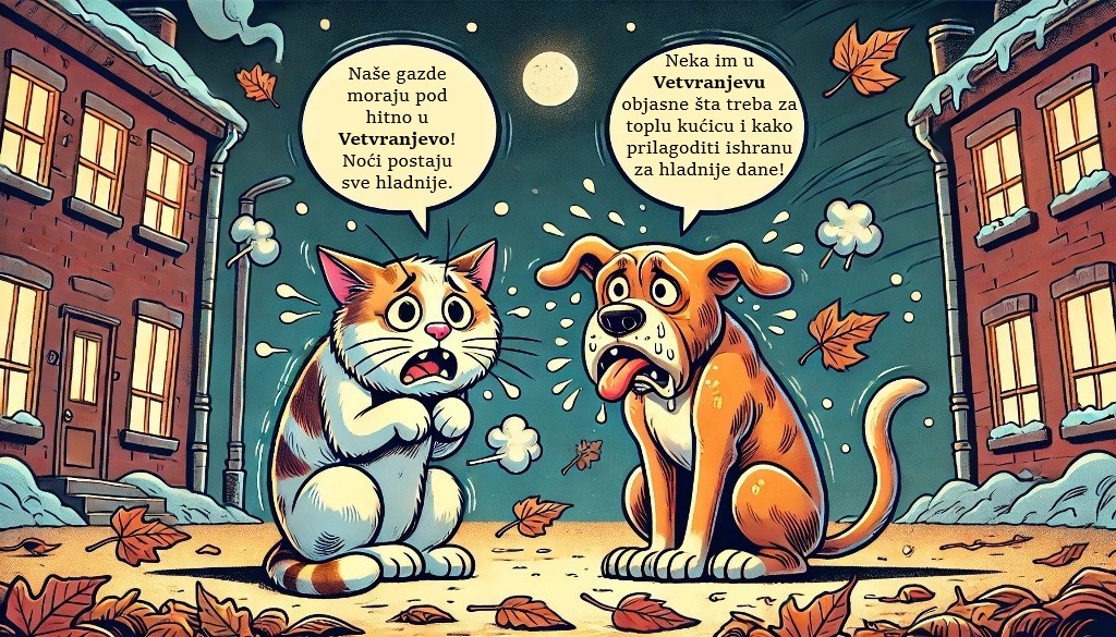 Pas i Maca Hladno2