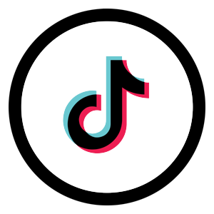 T2